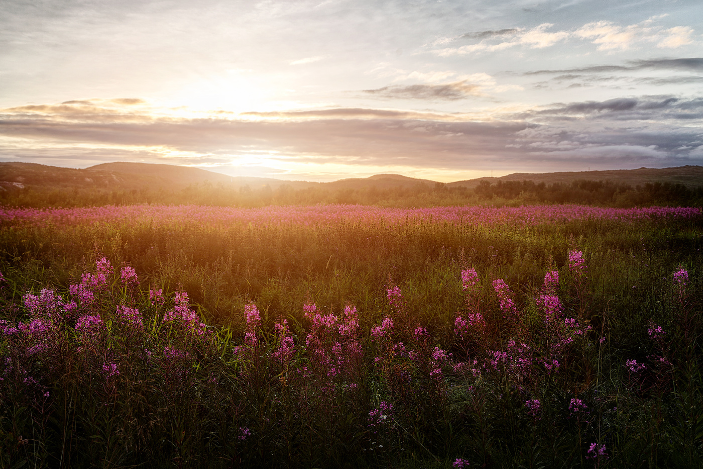 In der Sonnenuntergangs