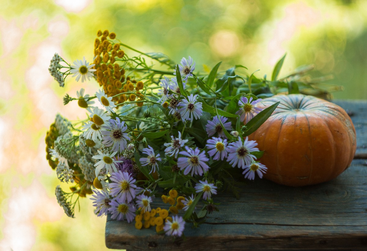An einem sonnigen Tag