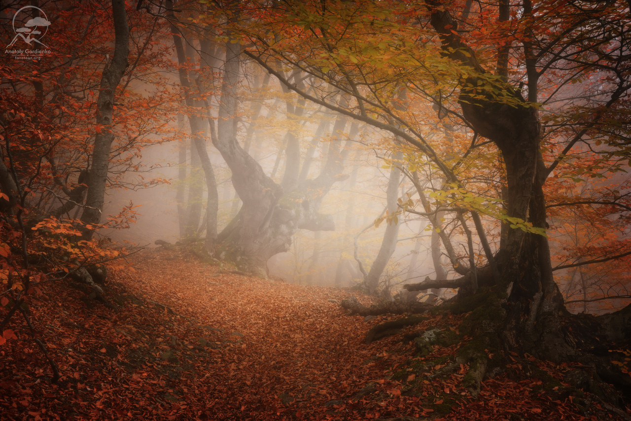 Legenden der Leidenschaft