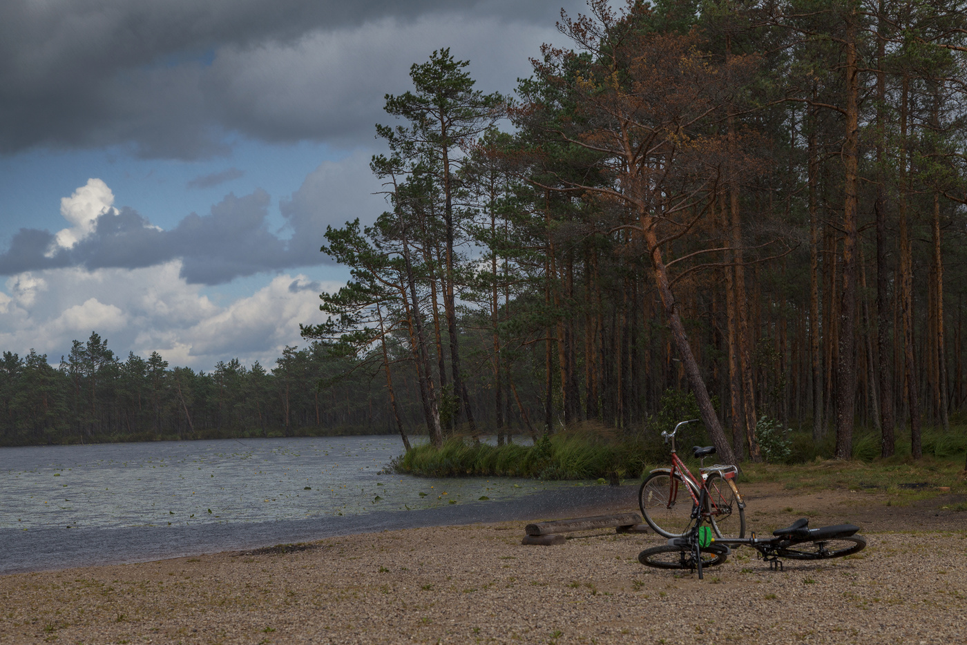 Verlassen des regen ...