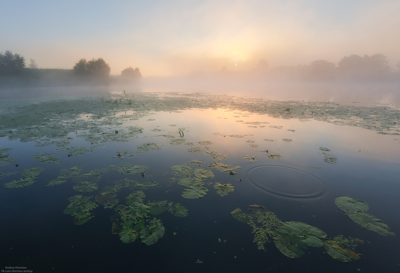 Beginnen Sie den Tag.