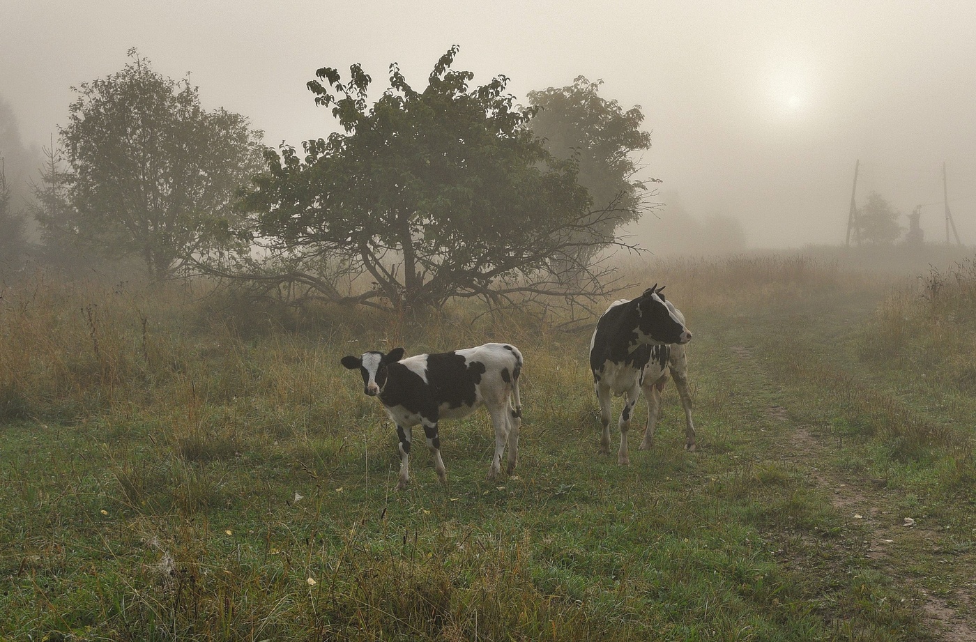 Morgen in das Dorf ...