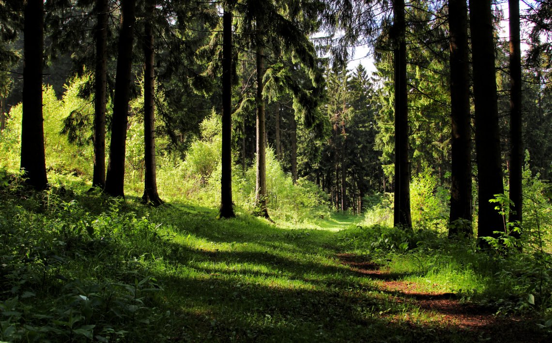 Der Morgen beginnt mit der Morgendämmerung