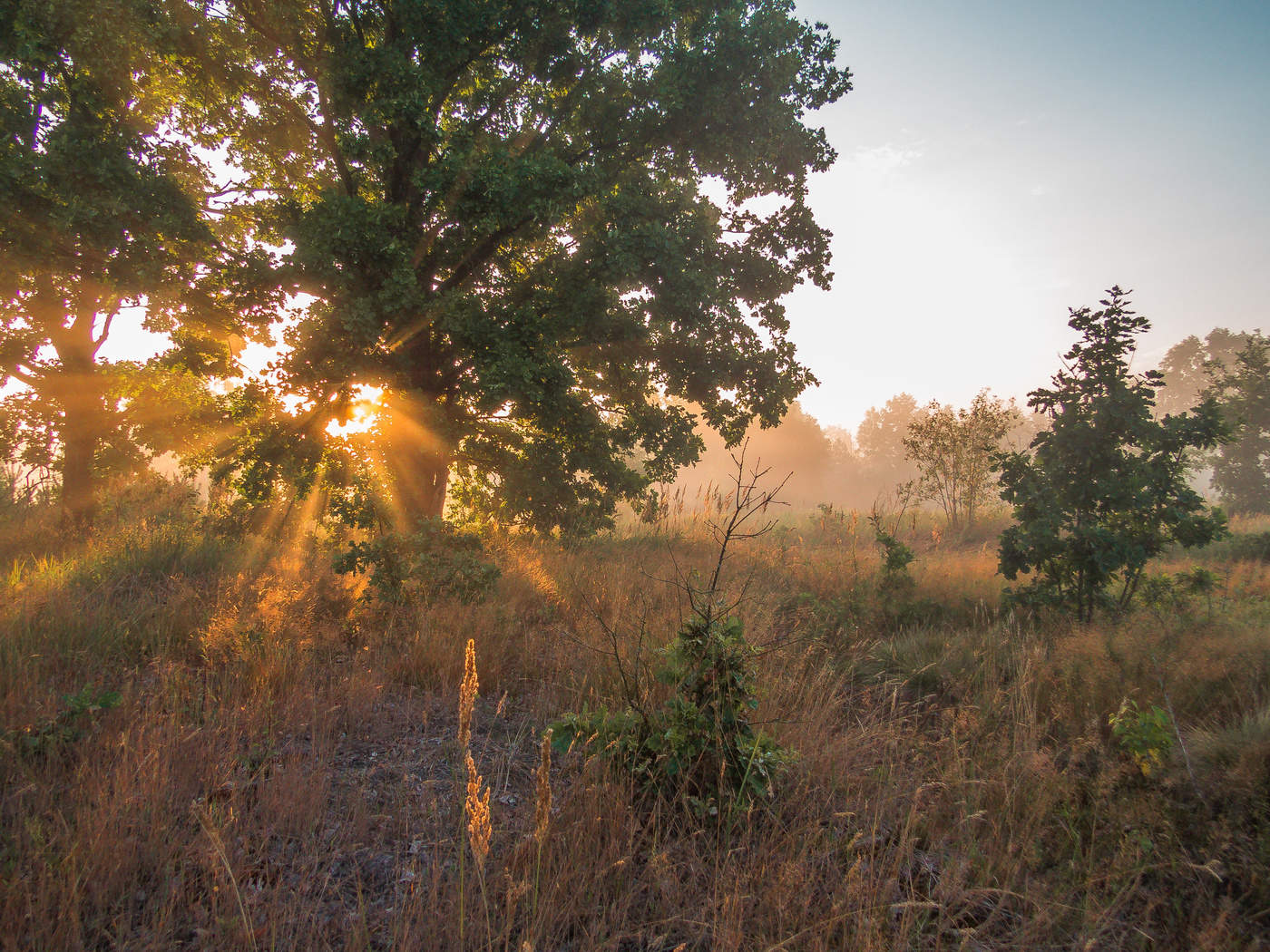 Bei einem Treffen ein neuer Tag