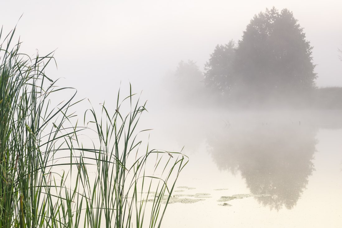In den dichten Nebel