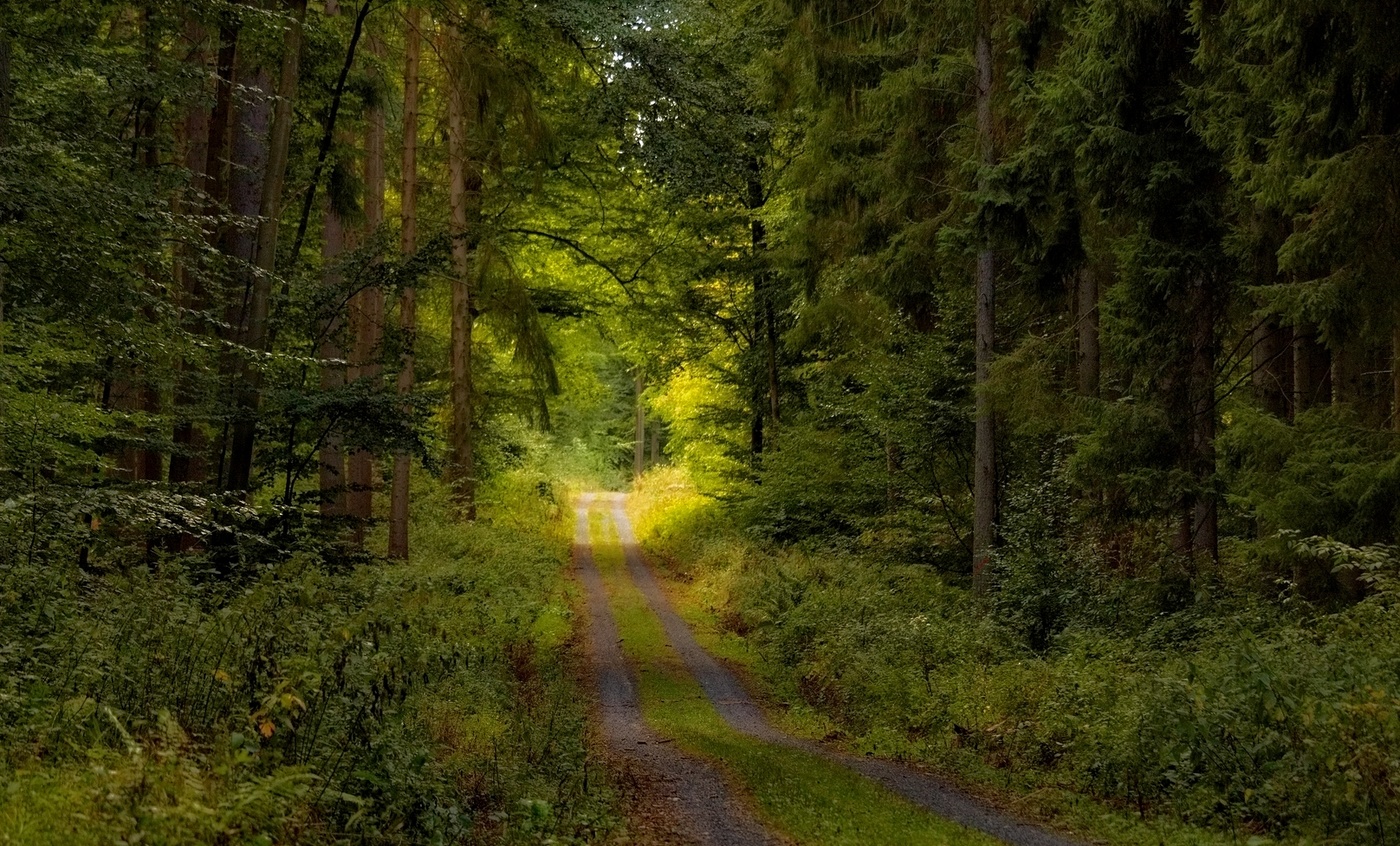 Im Einklang mit der Natur