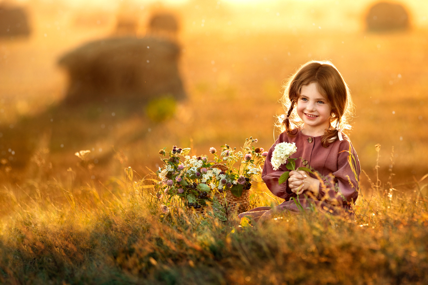 Bei Sonnenuntergang Sommer