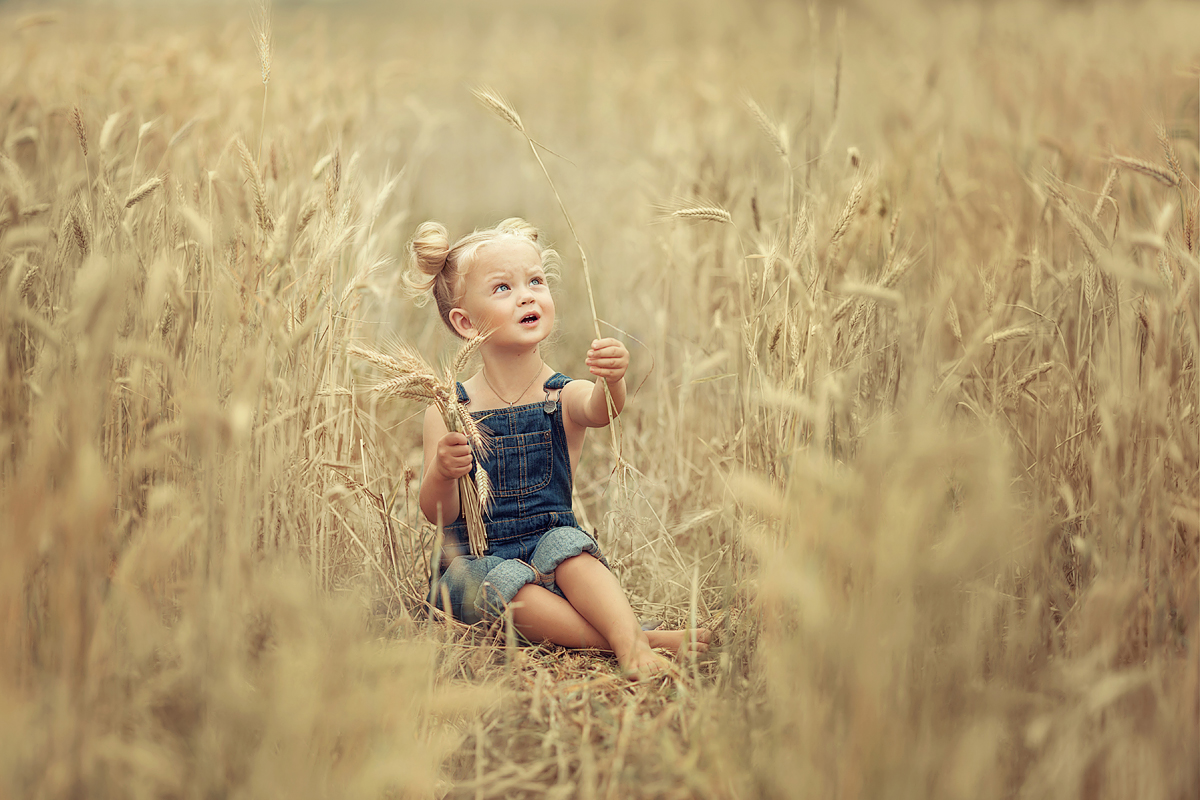 Der Geruch von Sommer