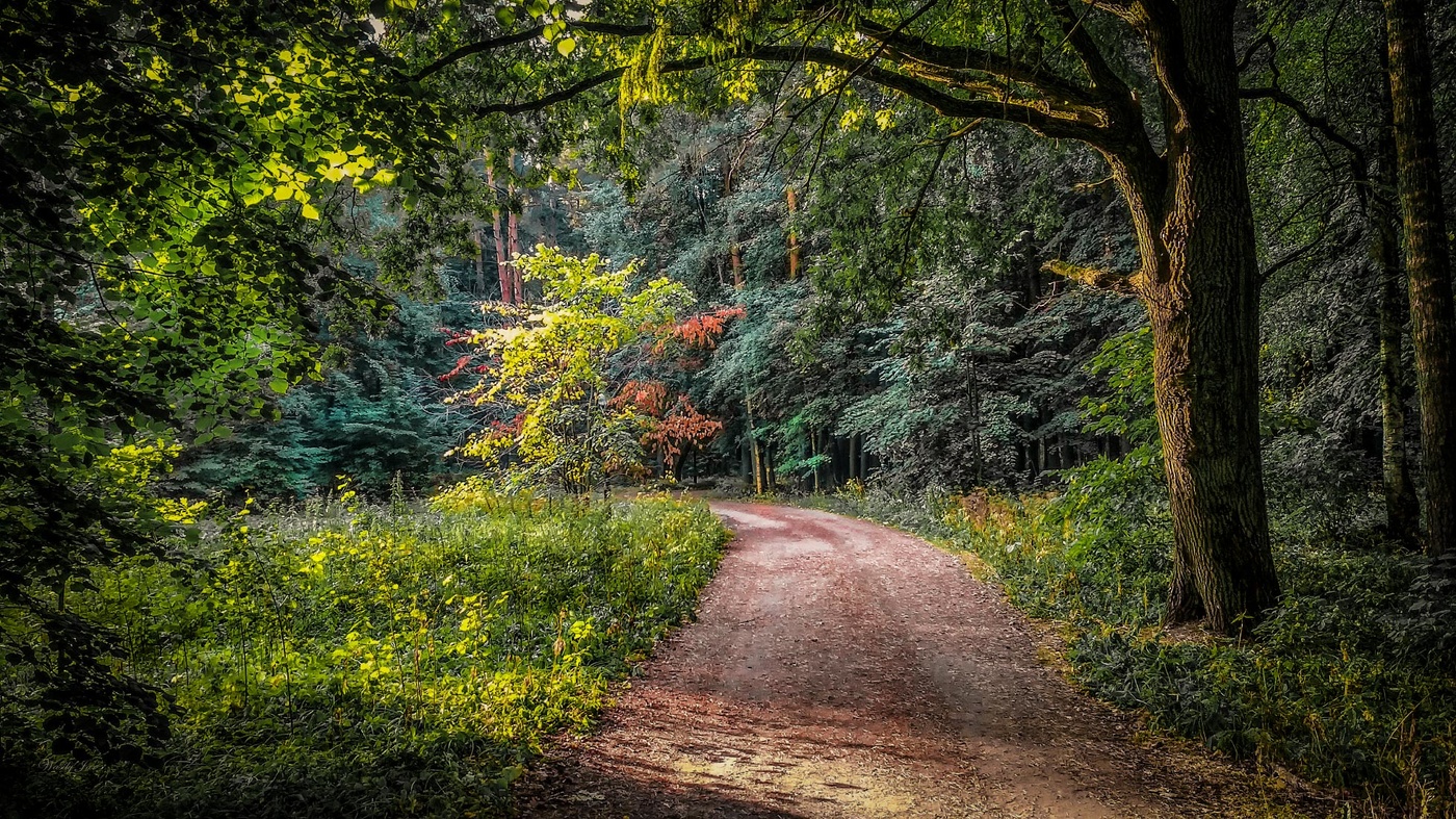 Morgen wird der Herbst.