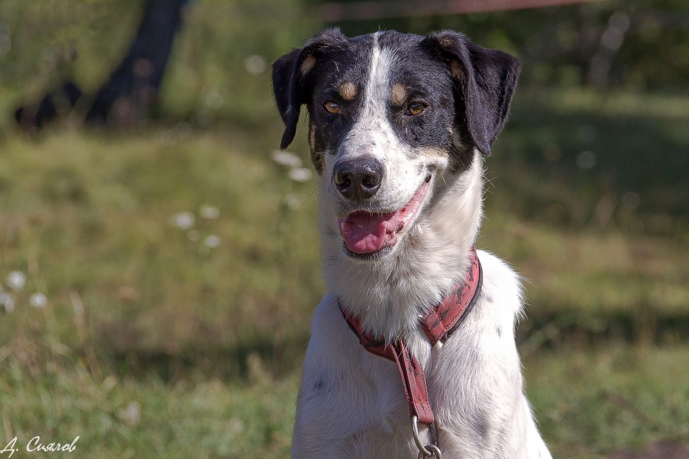 Porträt von einem Freund