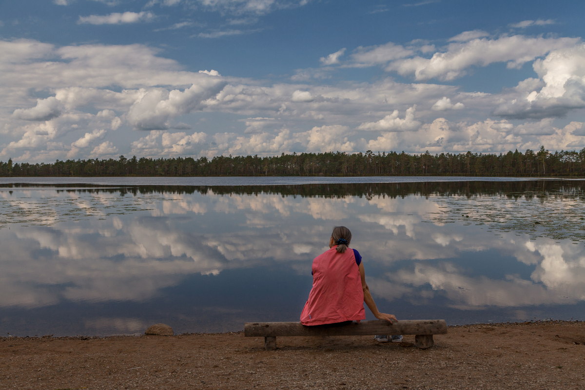 In meinen Träumen ...