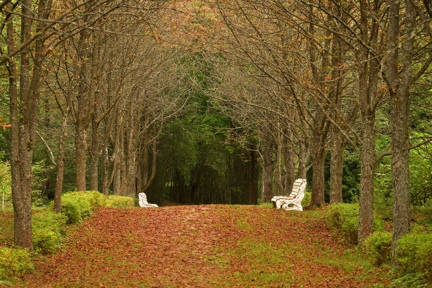 Der erste Tag des Herbstes
