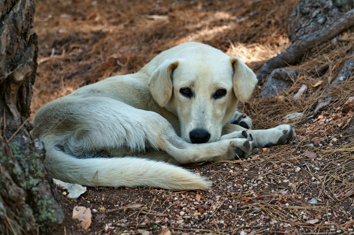 Ein zufälliges Treffen