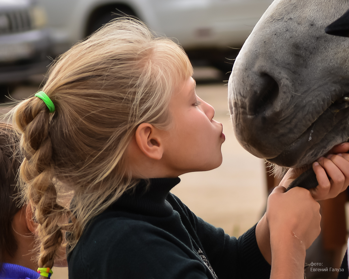 Ich liebe mein Pferd ...
