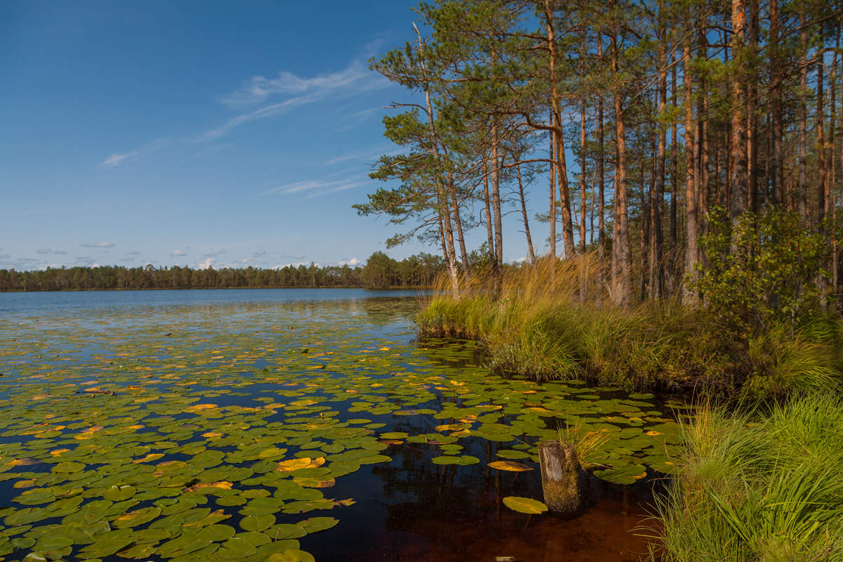Last Day of Summer ...