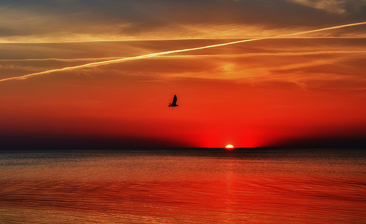 Brennen in den Flammen auf den Sonnenuntergang ...