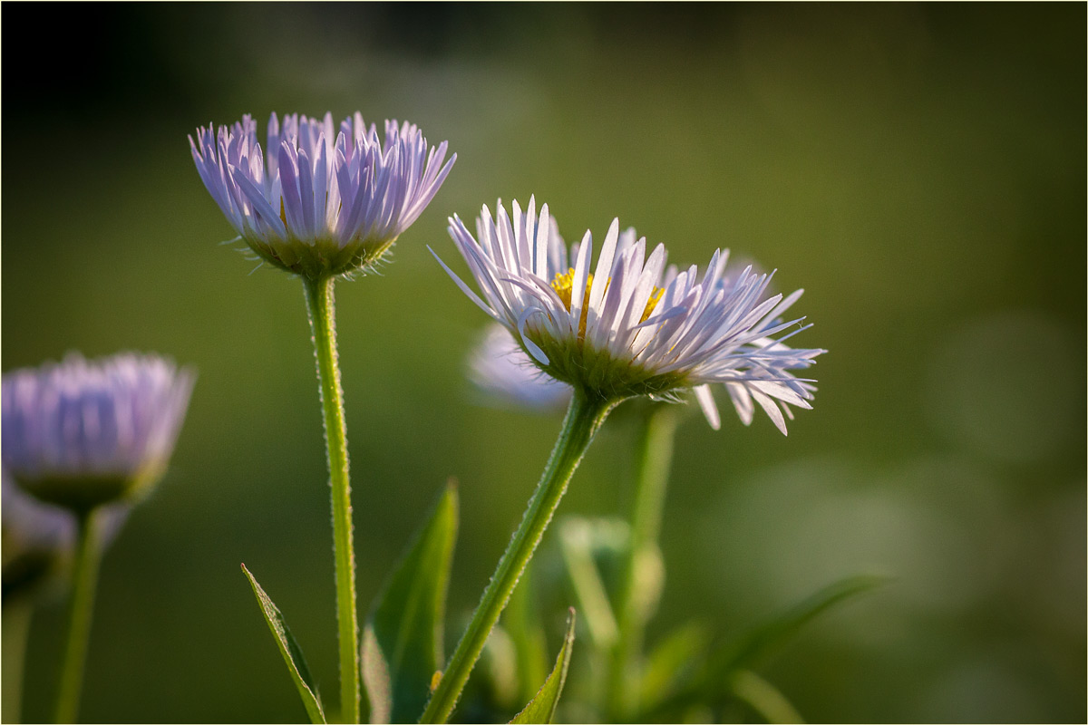 Farben des Sonnenuntergangs
