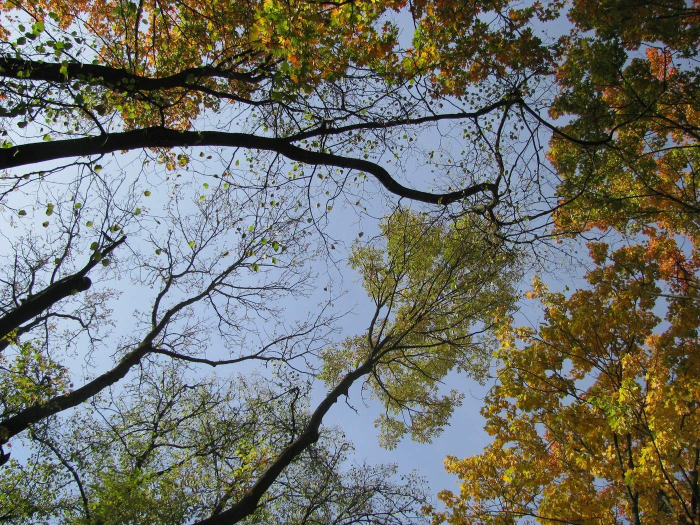 Der Beginn des Herbstes