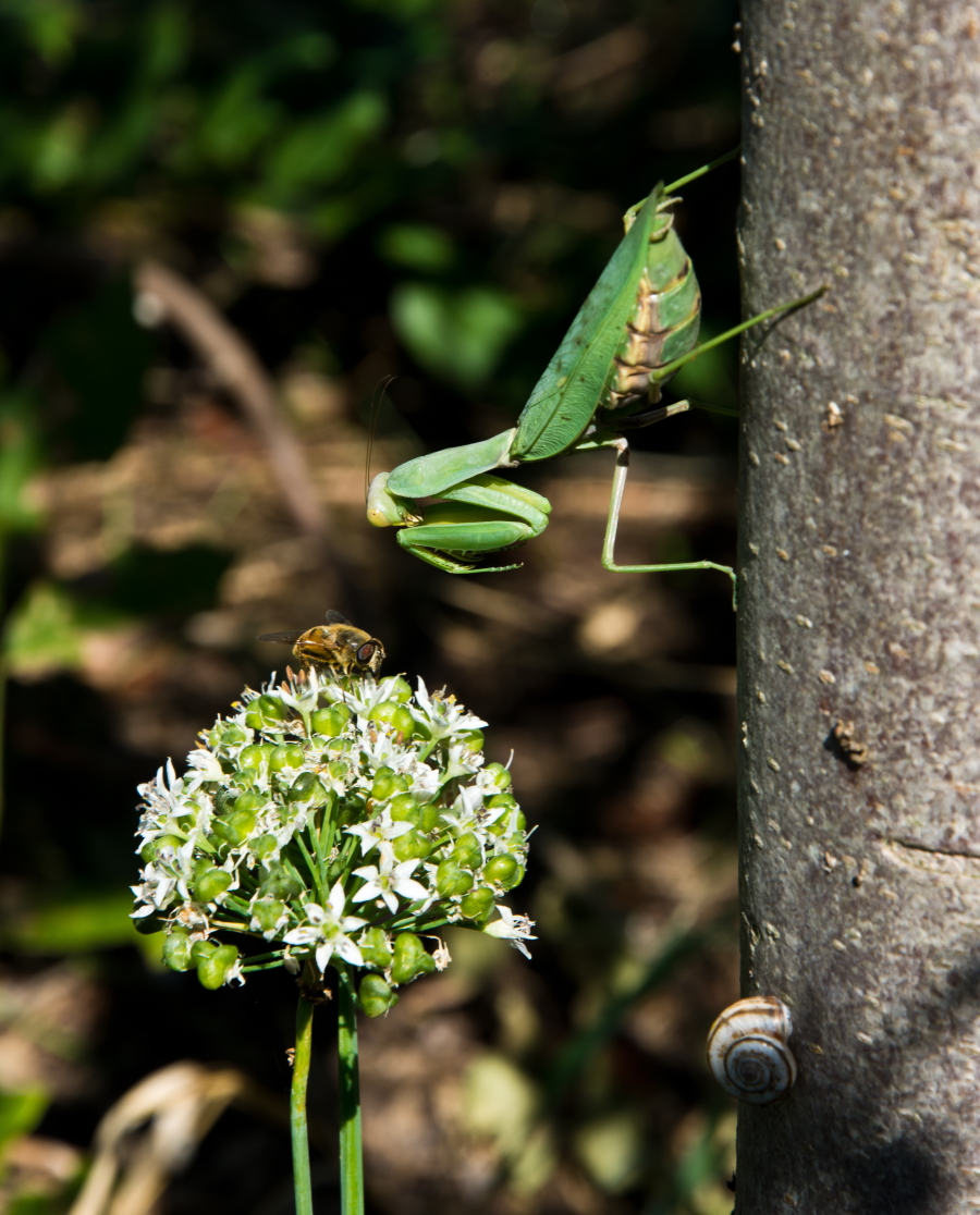 Es gibt nur einen Moment ...