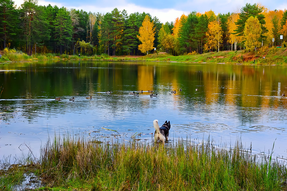 Herbstfarben der Natur.