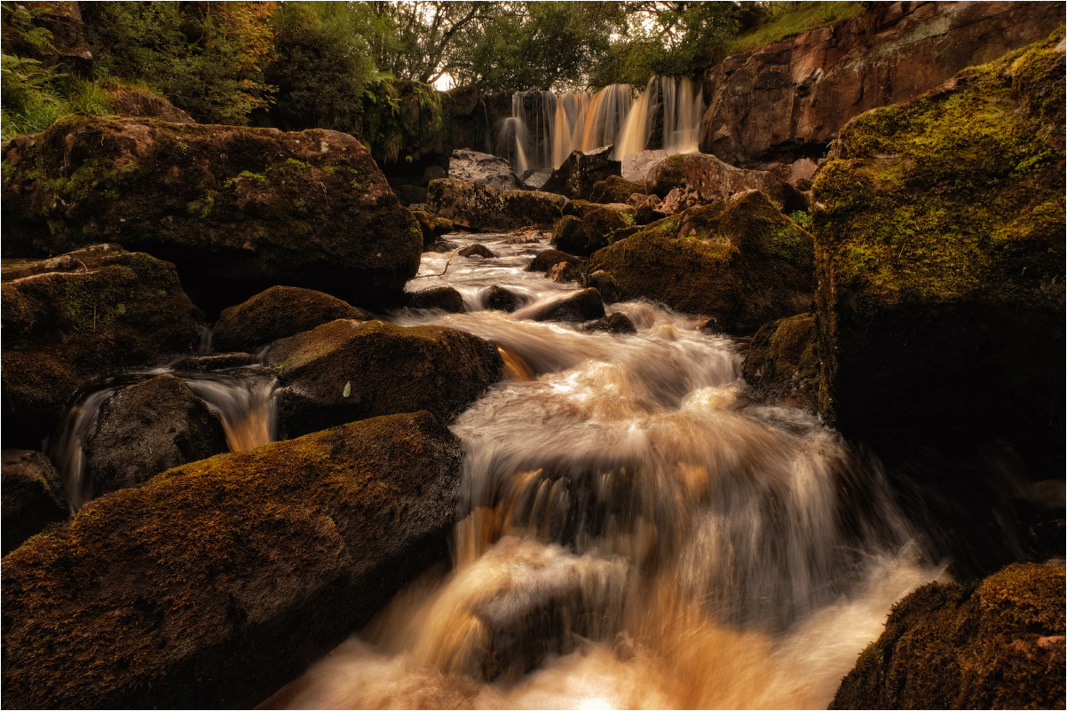 ... Unter den bemoosten Felsen ...