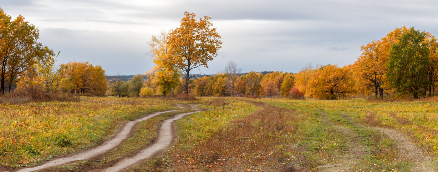 Straße zum Herbst