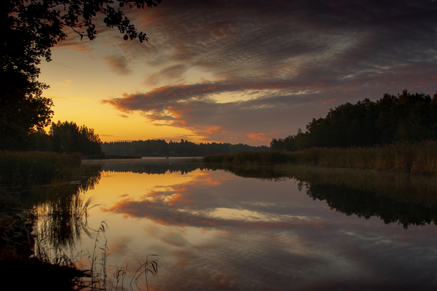 In der Morgendämmerung ...