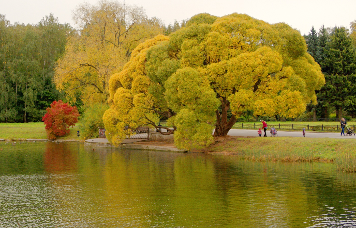 Und auf der anderen Seite