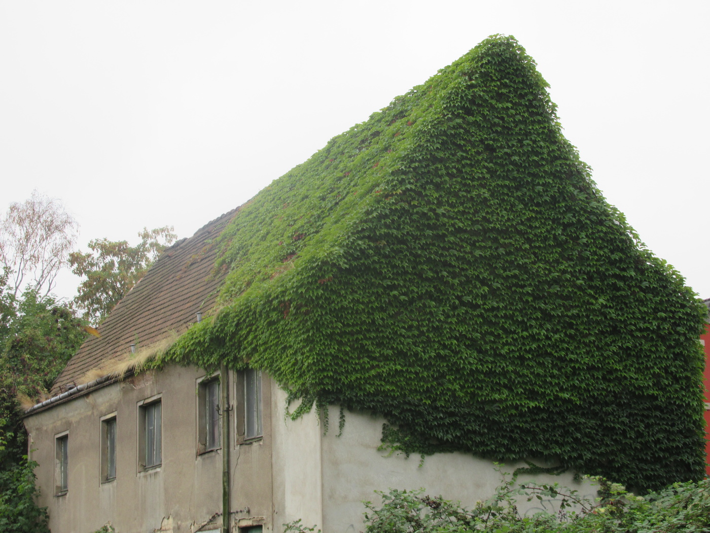 Auch das ist Dresden