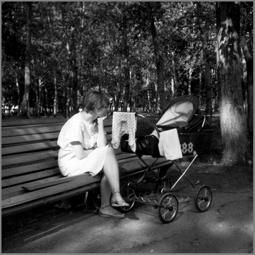 Wenn die Bäume groß