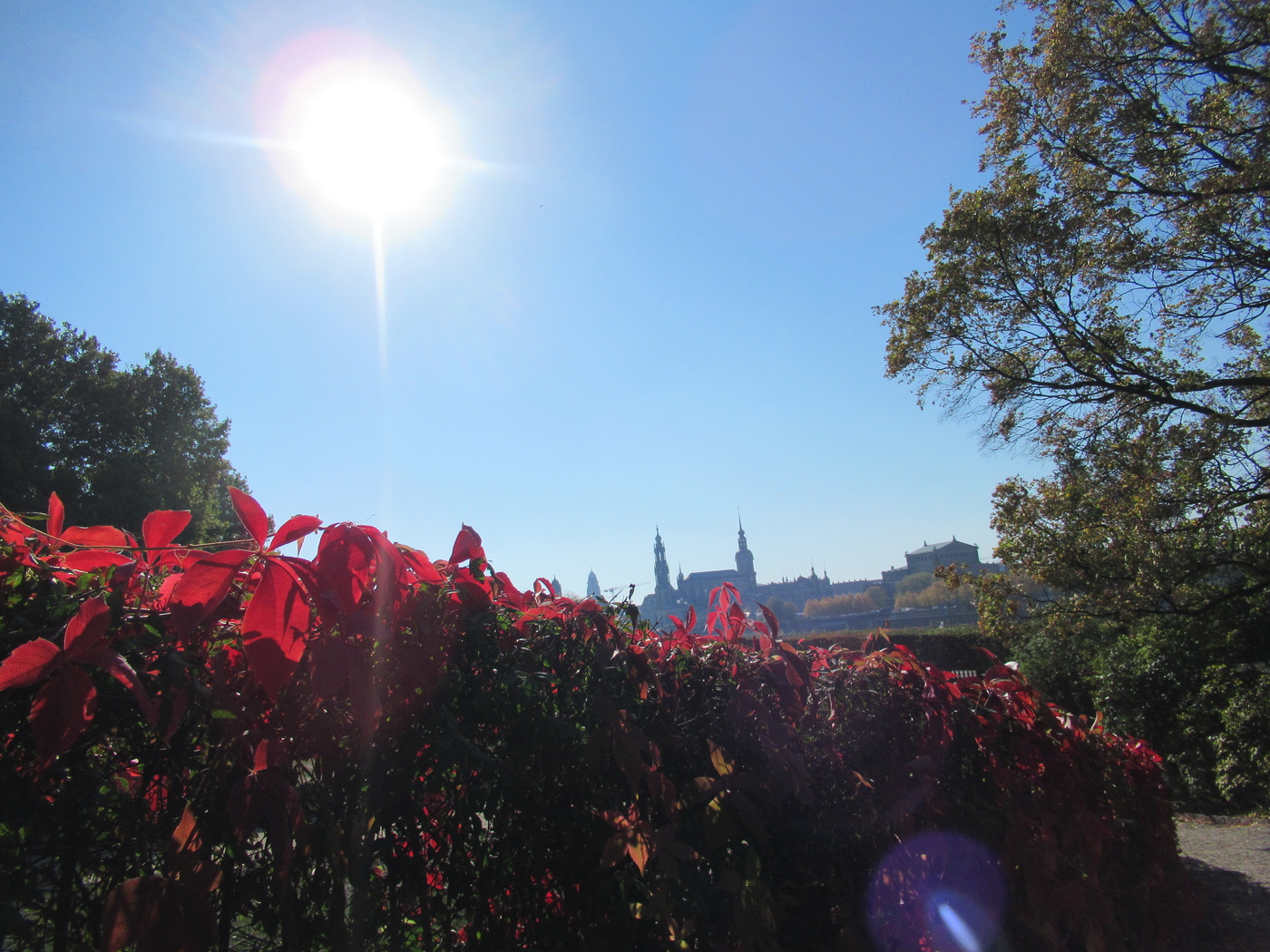 Herbst in Dresden
