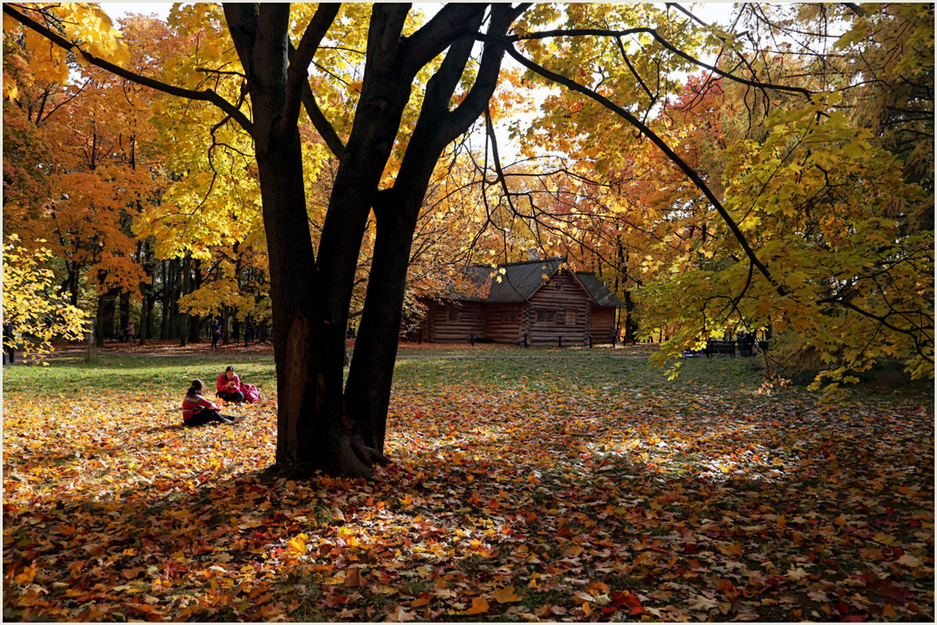 Der Geruch des Herbstes