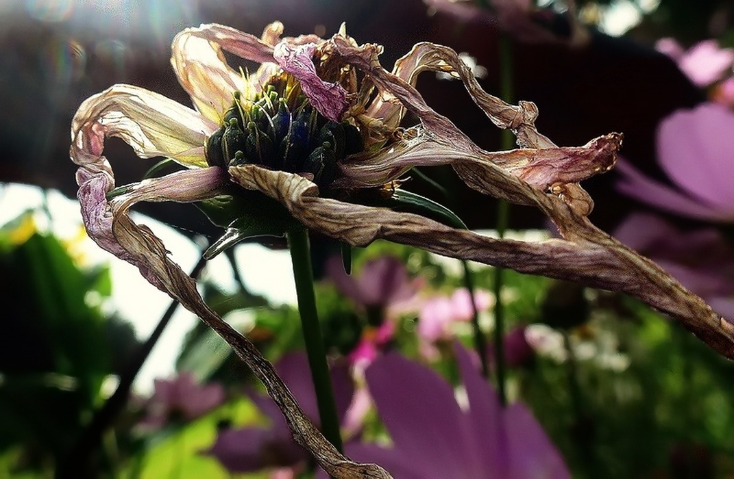 Der Geruch des Herbstes