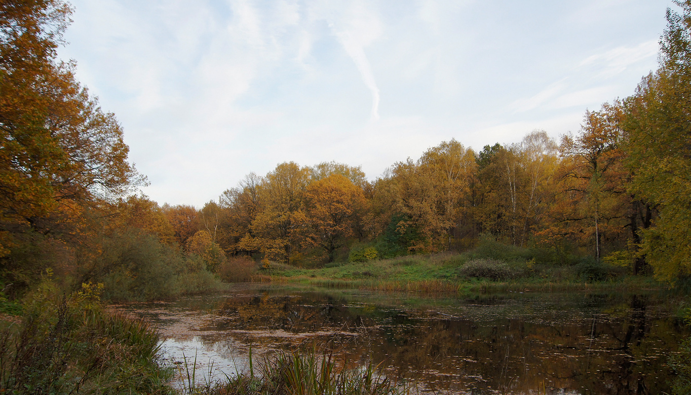 Der Geruch des Herbstes