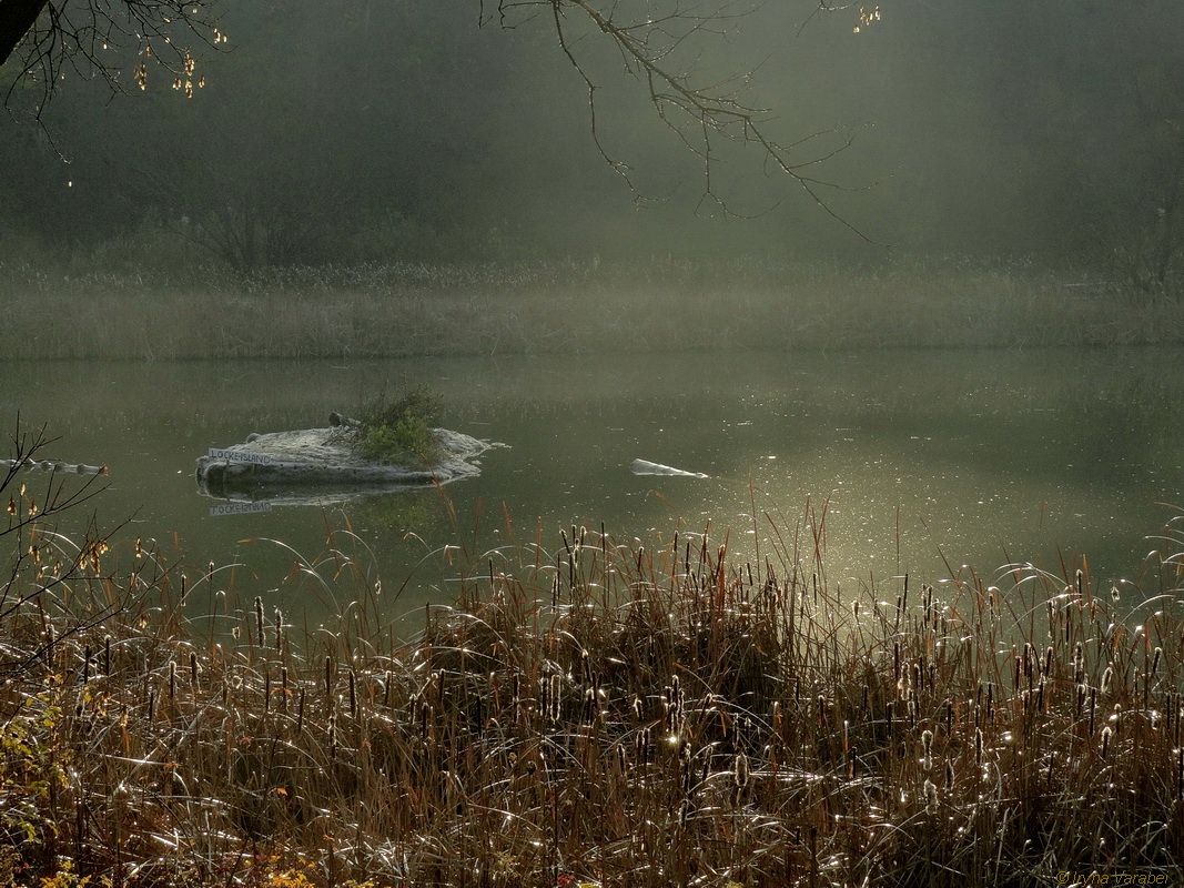 Der Geruch des Herbstes