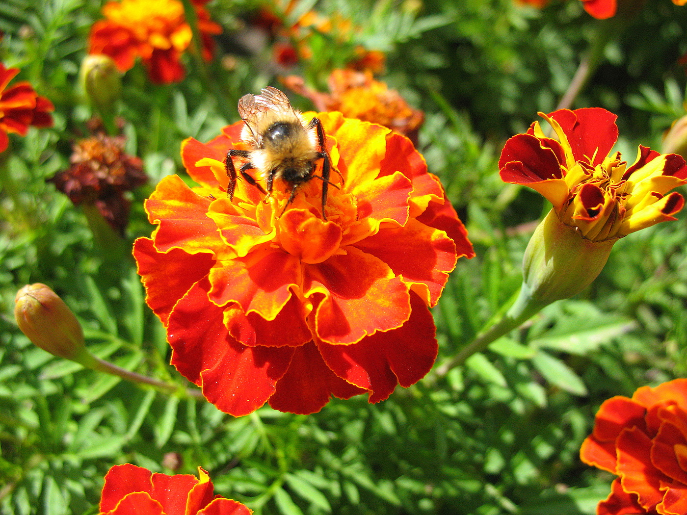 Der Geruch des Herbstes