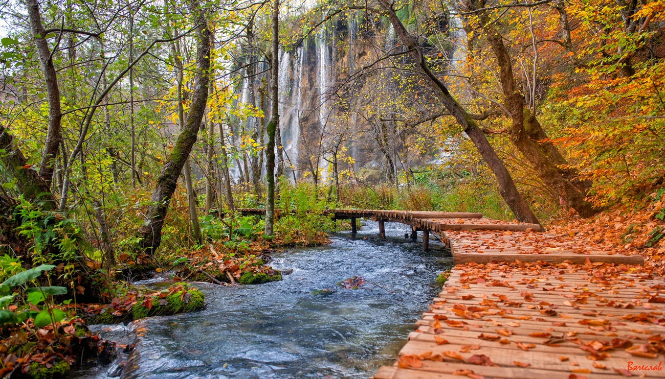 Der Geruch des Herbstes