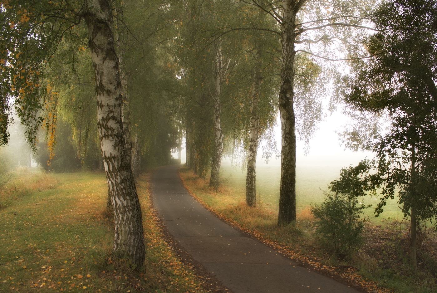 Der Geruch des Herbstes