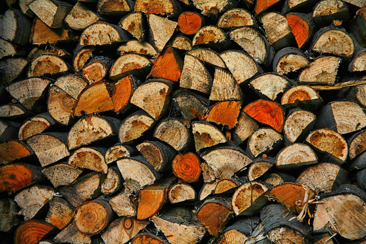 Der Geruch des Herbstes