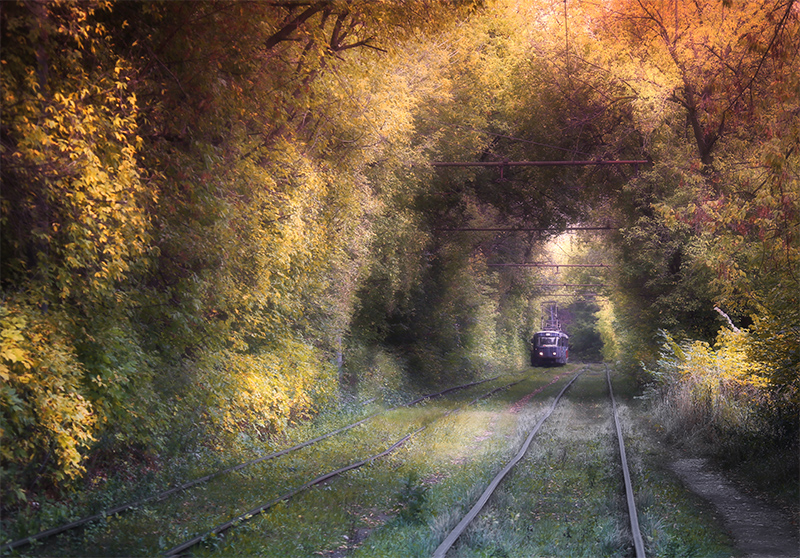 Der Geruch des Herbstes