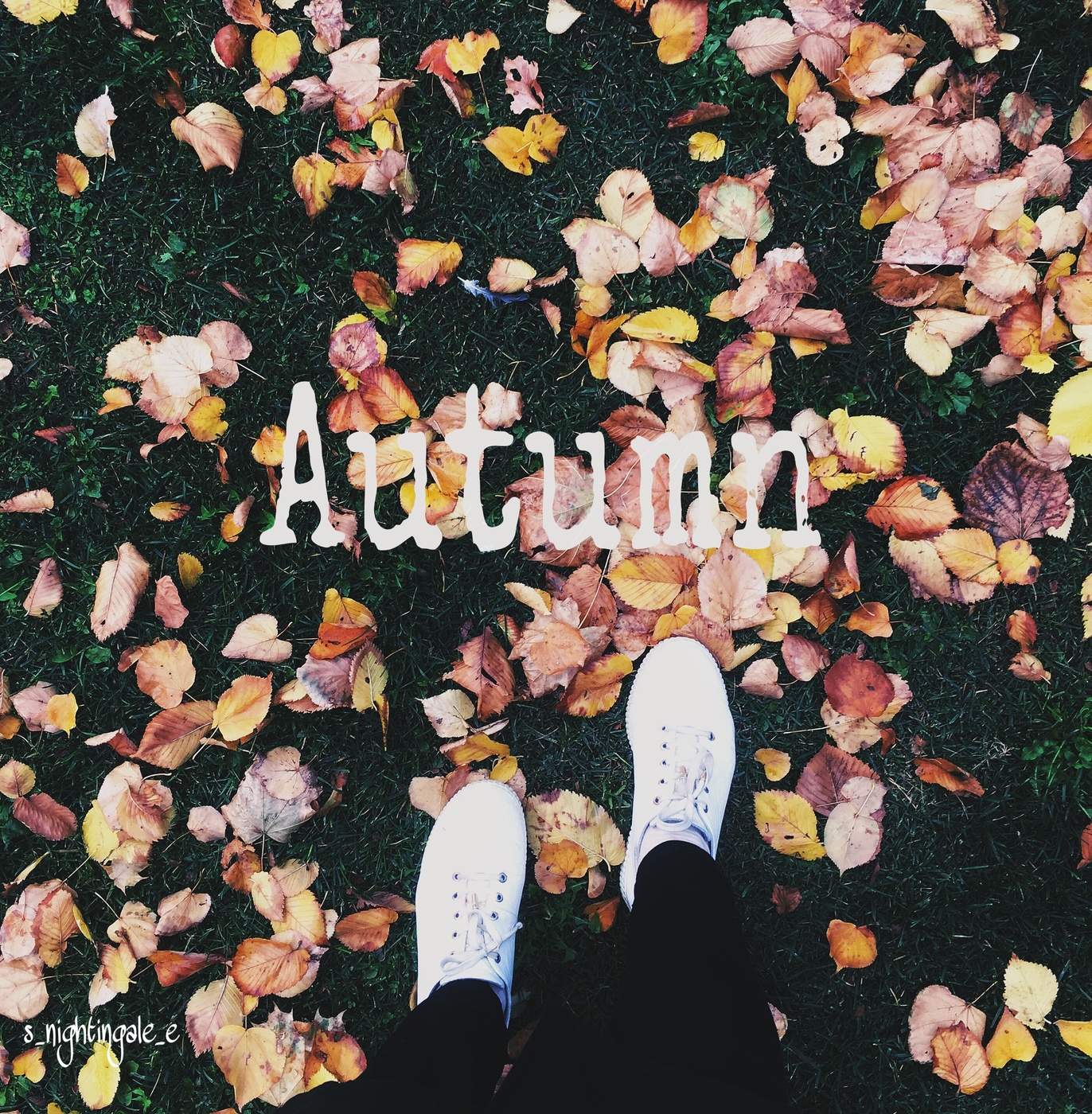 Der Geruch des Herbstes