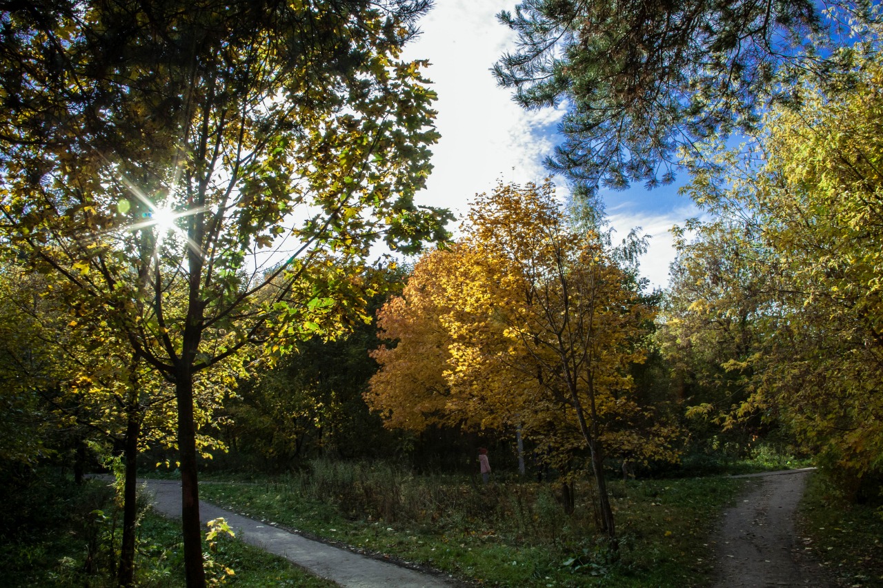 Der Geruch des Herbstes