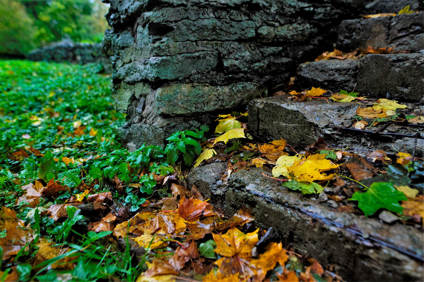 Der Geruch des Herbstes
