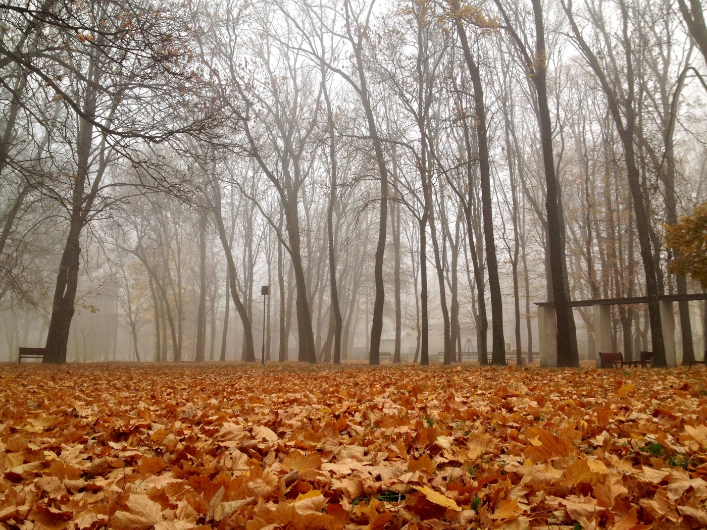 Der Geruch des Herbstes
