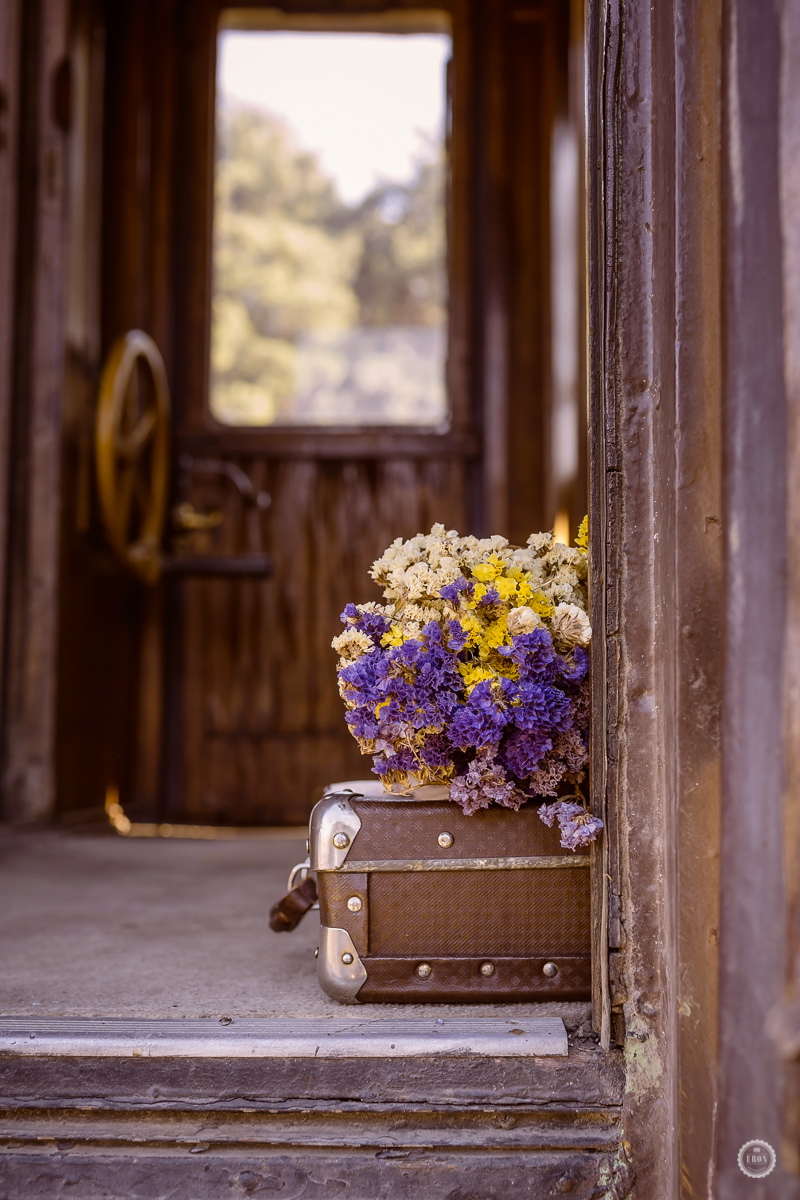 Der Geruch des Herbstes