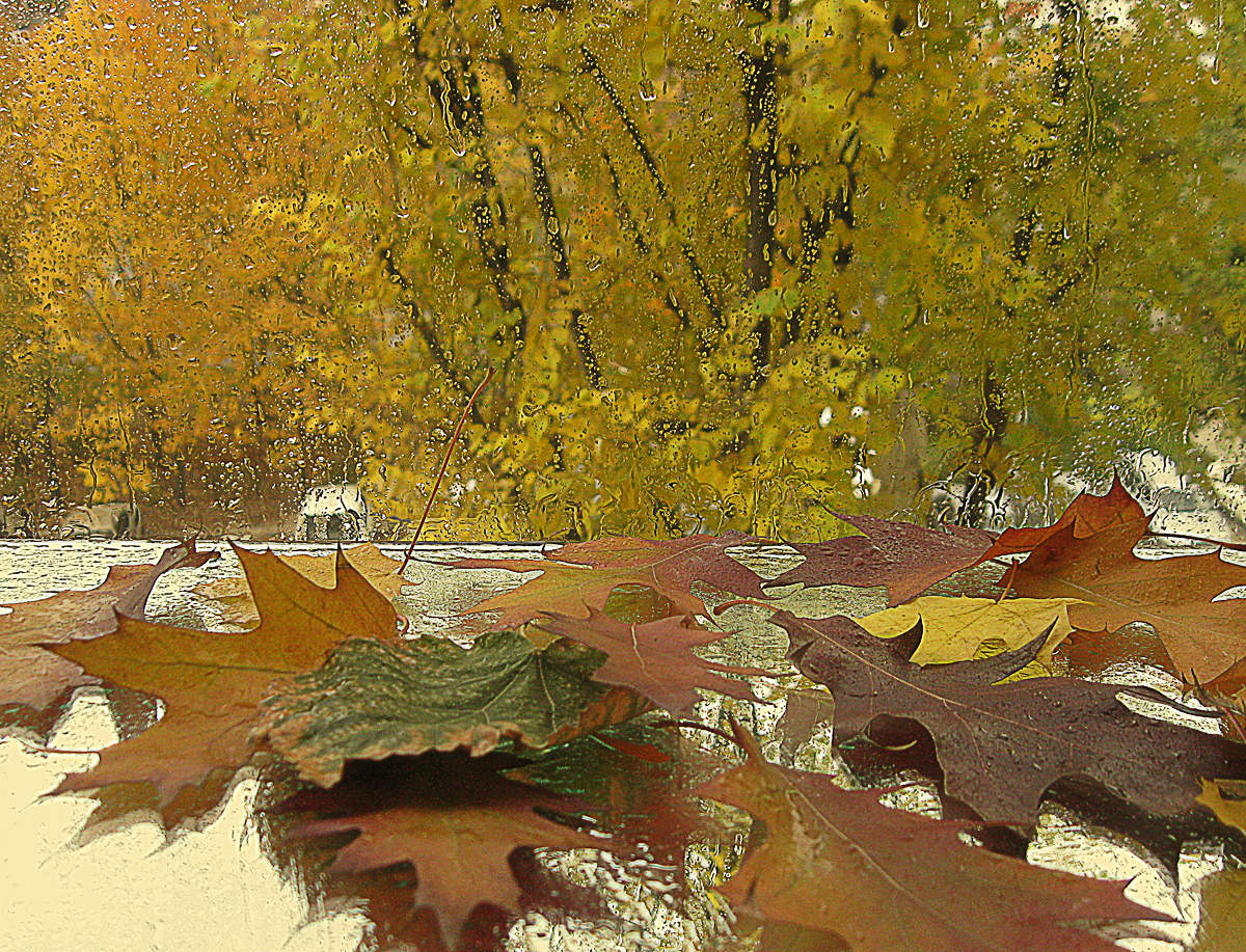 Der Geruch des Herbstes