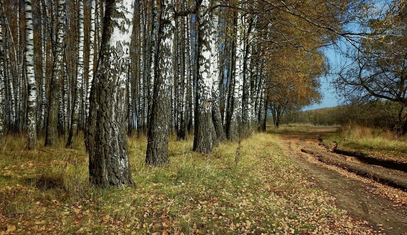 Der Geruch des Herbstes