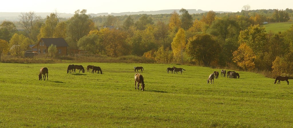 Der Geruch des Herbstes