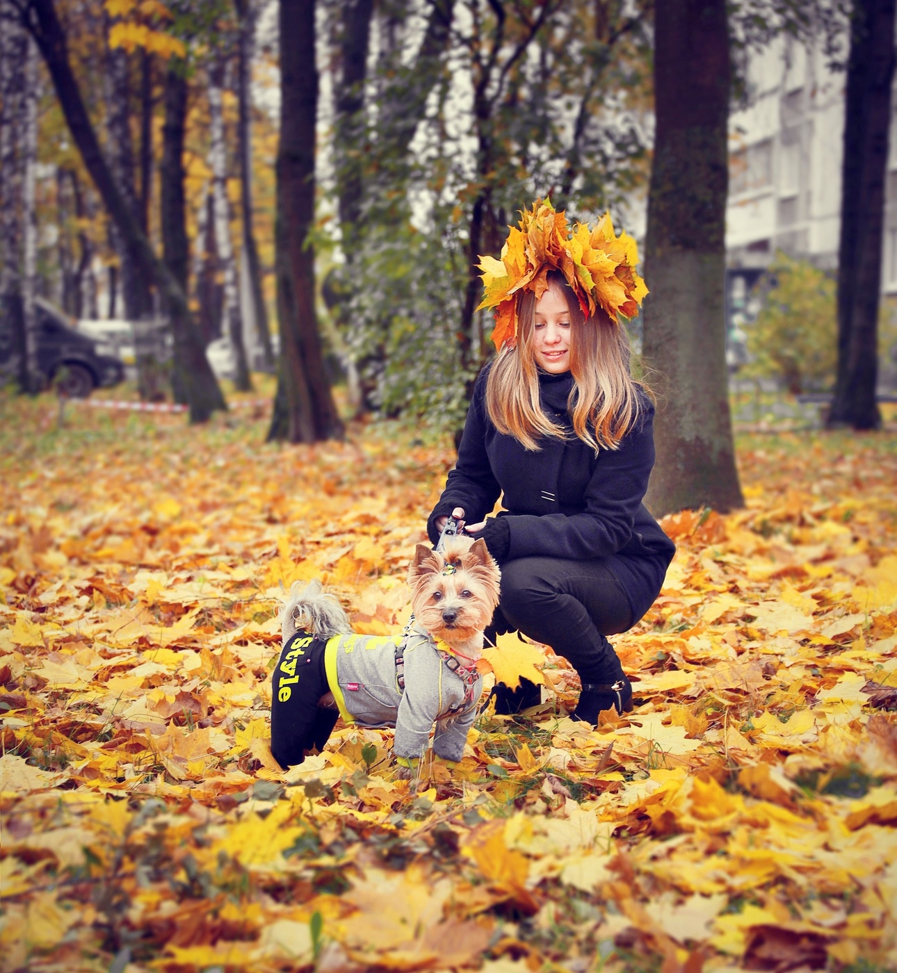 Der Geruch des Herbstes