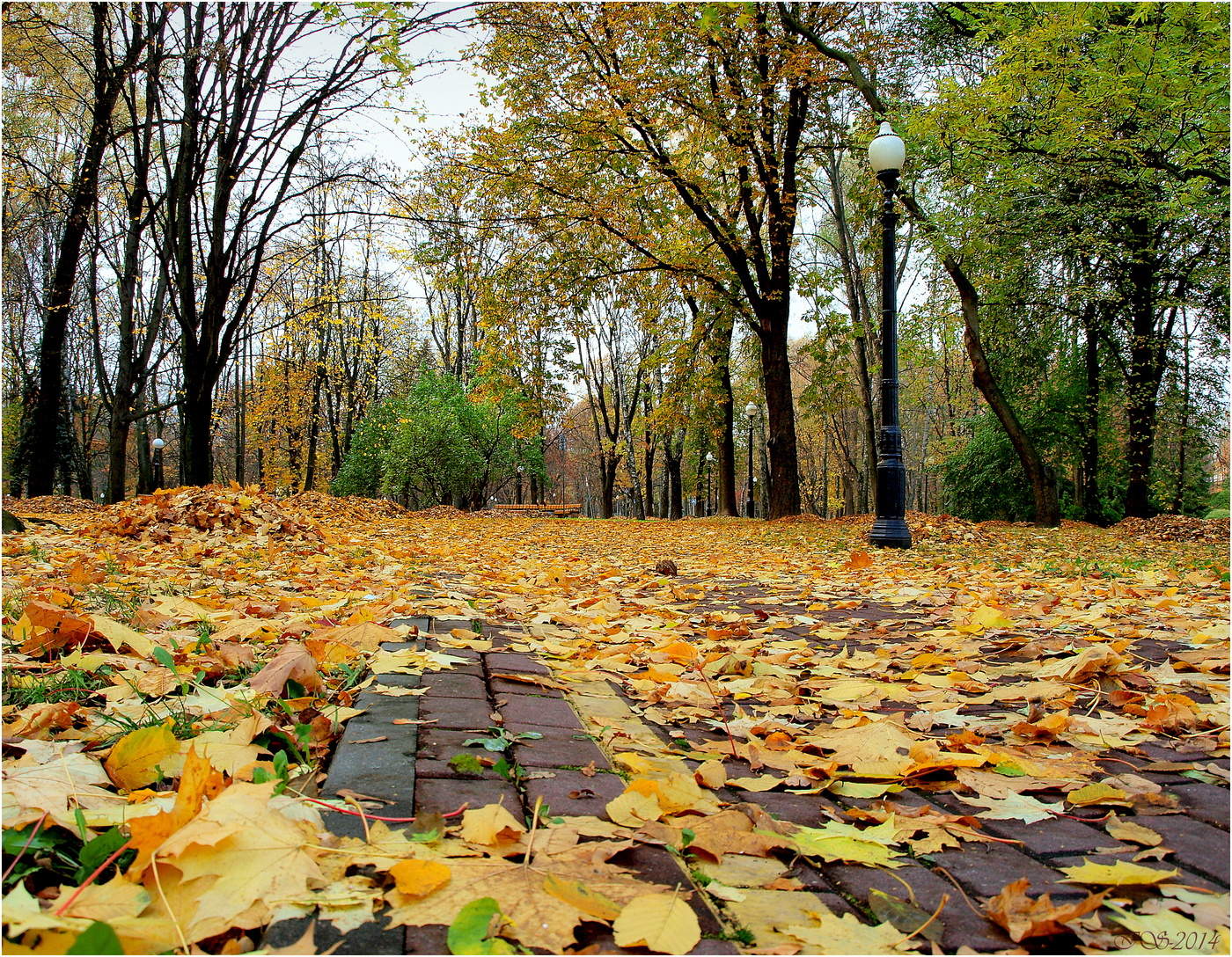 Der Geruch des Herbstes